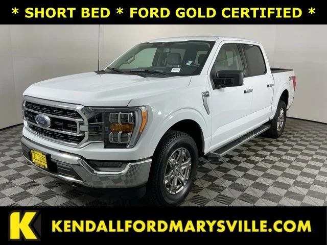 2023 Ford F-150 XLT 4x4 SuperCrew 145 in's photo