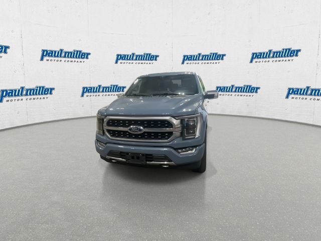 Certified Used 2023 Gray Ford Platinum image 4