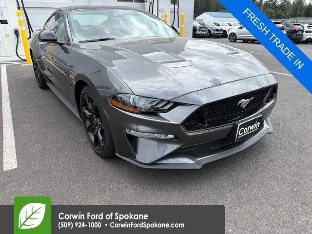 2019 Ford Mustang GT Coupe Premium's photo