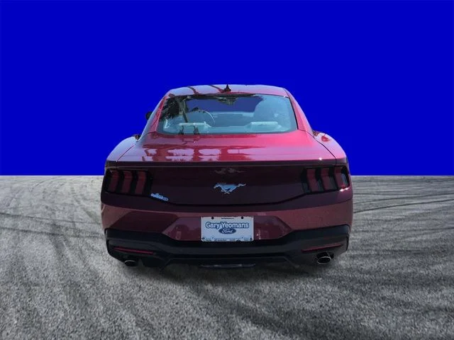 New 2026 Molten Magenta Metallic Tinted Clearcoat Ford EcoBoost® Premium Fastback image 5