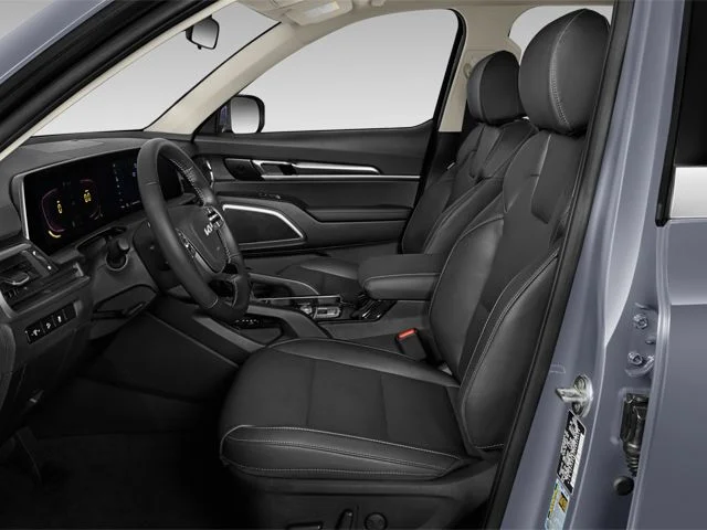 Used 2025 Panthera Metal Kia S image 10