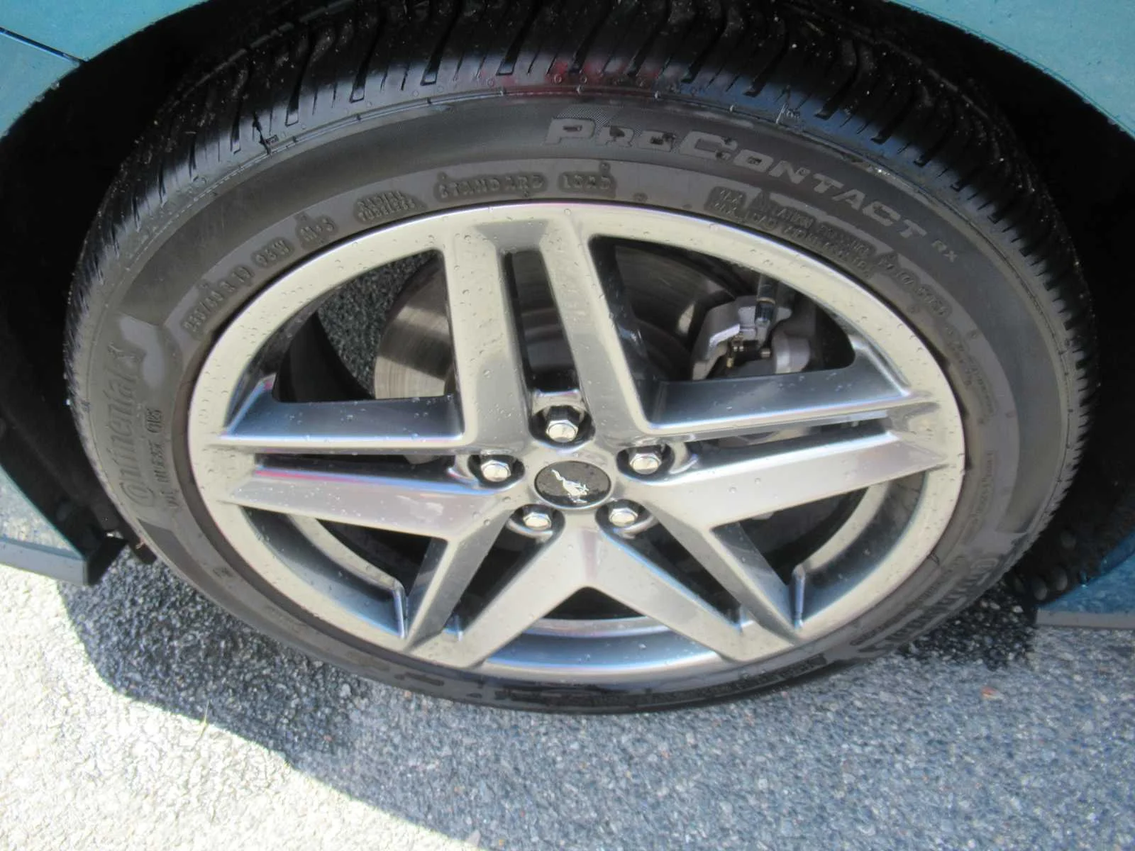 Used 2026 Adriatic Blue Ford EcoBoost image 12