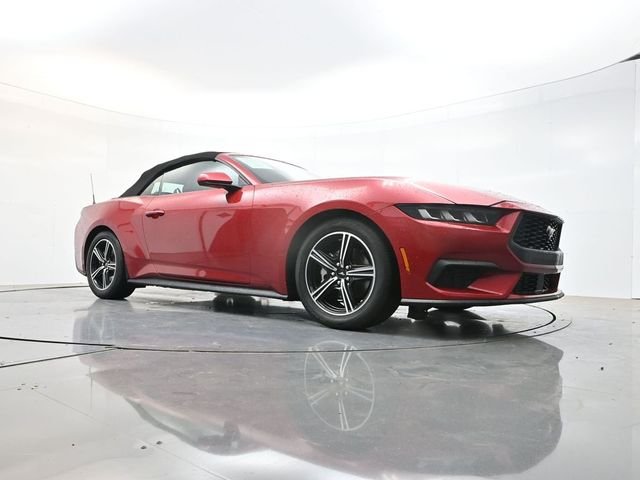 Used 2024 Red Ford EcoBoost Premium image 22