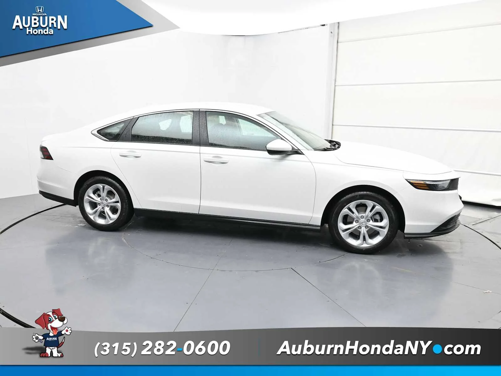 New 2025 Platinum White Pearl Honda LX image 14
