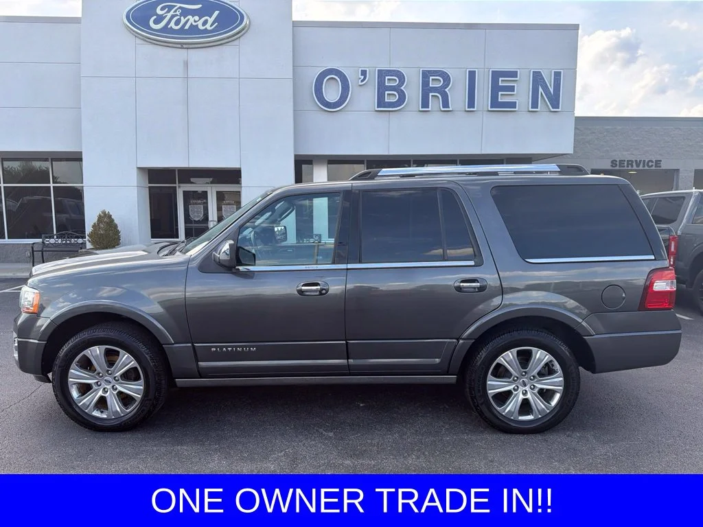 Used 2016 Magnetic Metallic Ford Platinum image 2