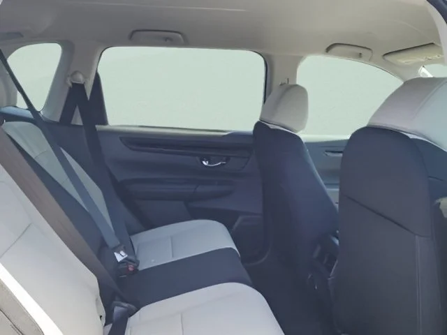 New 2026 Platinum White Pearl Honda LX image 14
