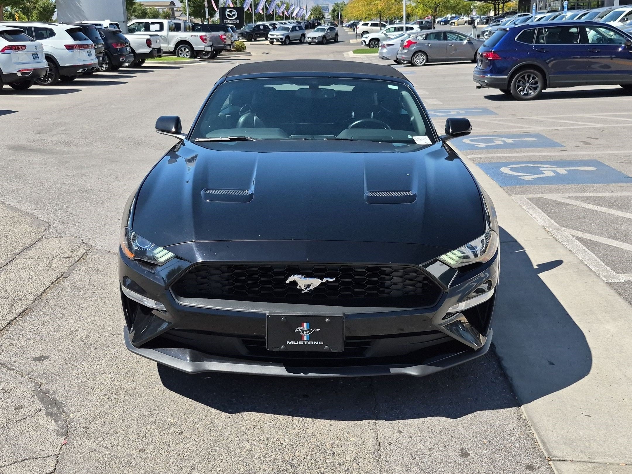 Used 2020 Shadow Black Ford EcoBoost Premium image 10