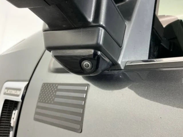 Used 2020 Gray Ford Platinum image 12
