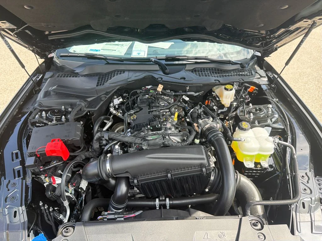 New 2026 Black Ford EcoBoost Premium image 16