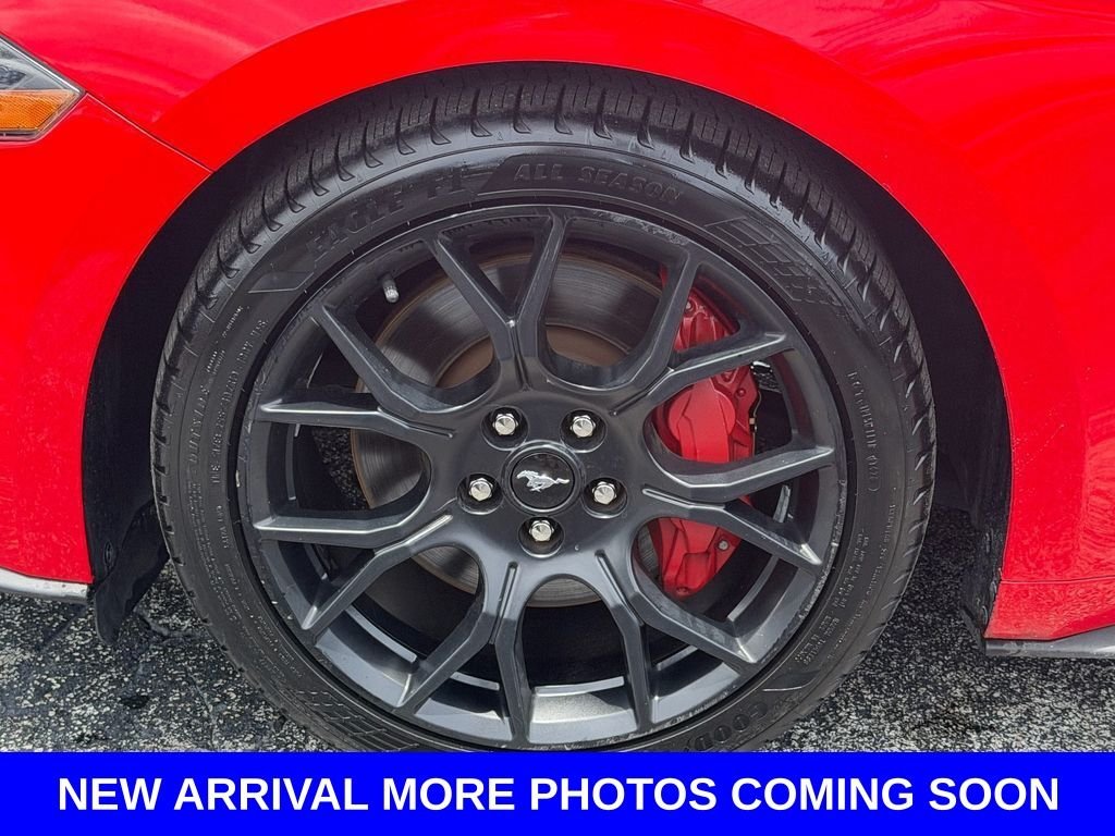 Used 2019 Red Ford EcoBoost image 12
