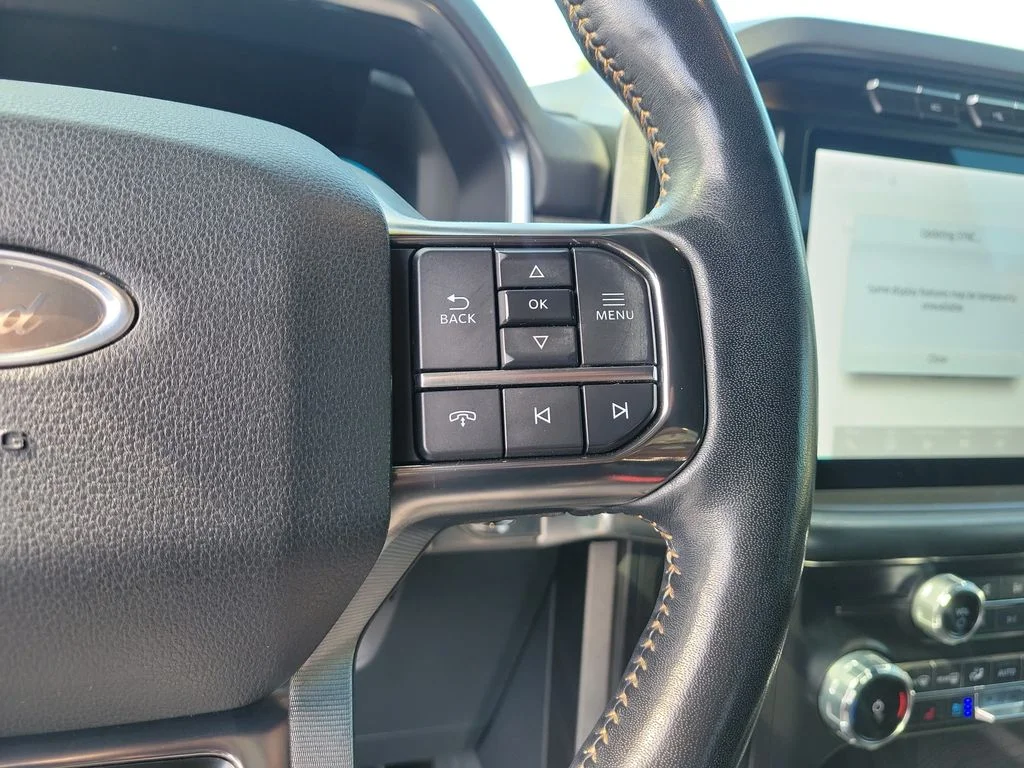 Used 2022 Carbonized Gray Metallic Ford Platinum image 17