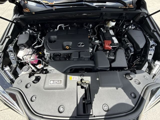2025 Lexus NX 250 - Photo 27