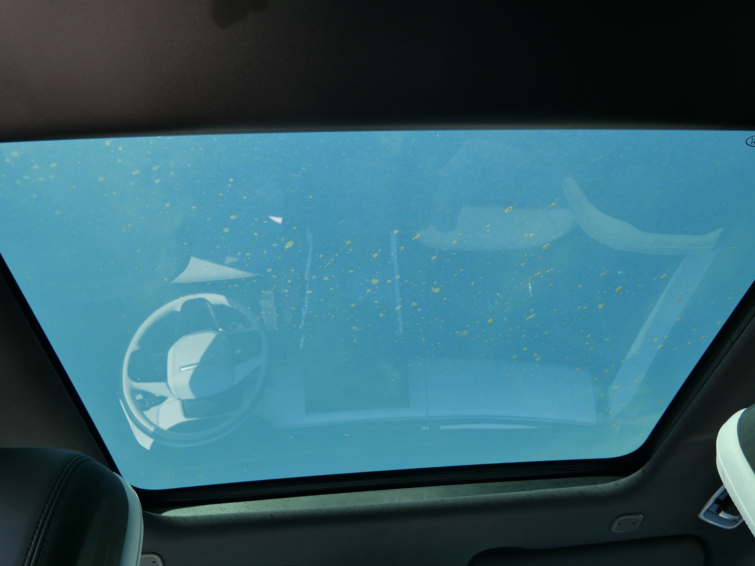 Used 2024 VARESINE BLUE Land Rover Dynamic SE image 18