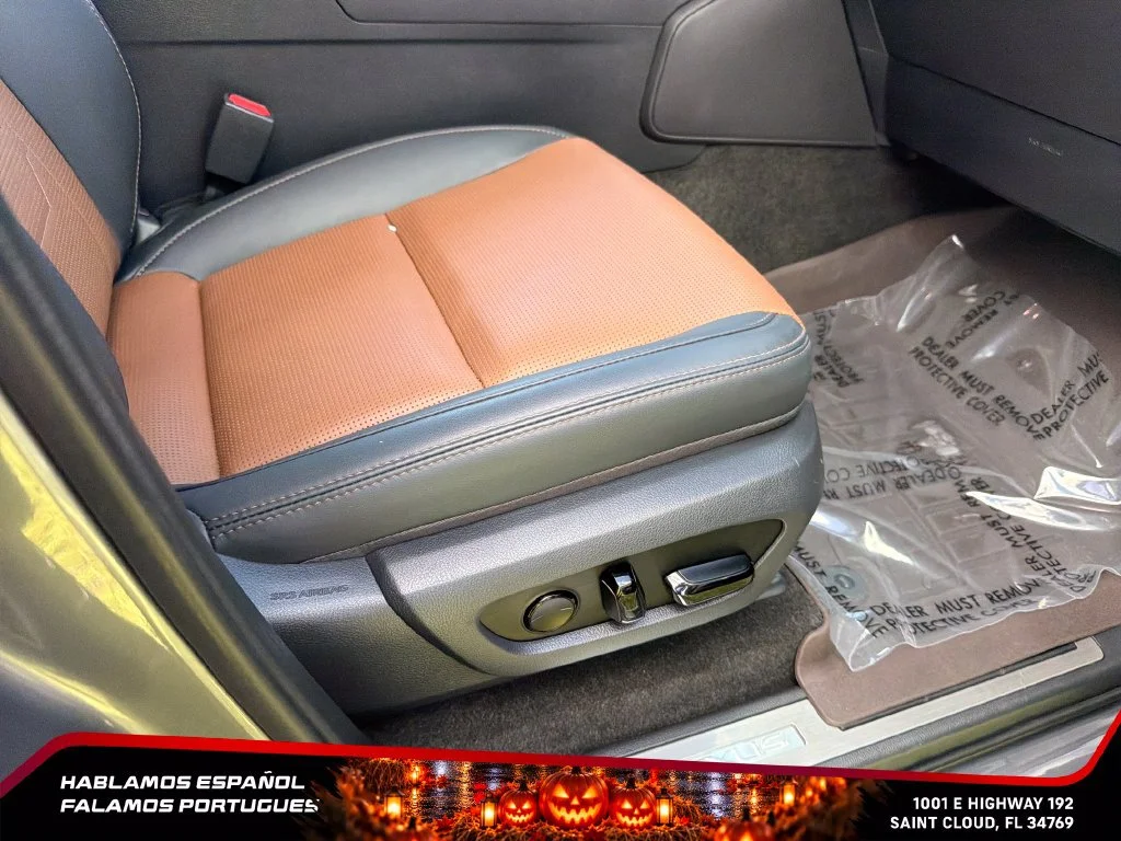 Used 2025 Gray Lexus Luxury image 28