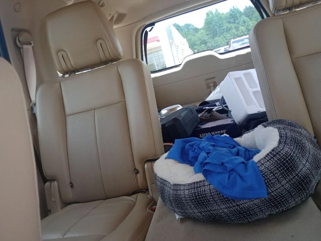 Used 2013 Black Ford  image 12