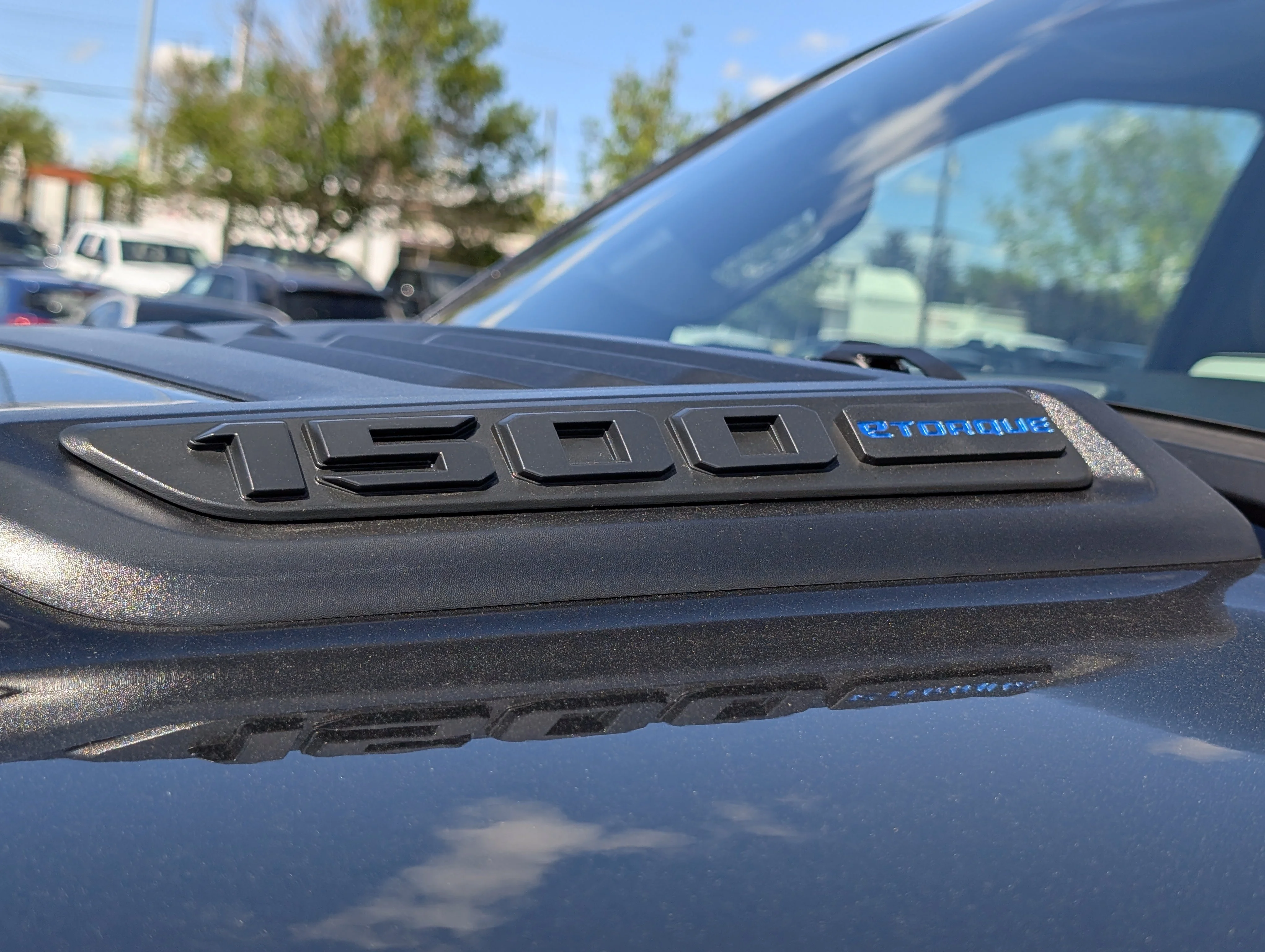 New 2026 Diamond Black Crystal Pearl Ram Rebel image 18