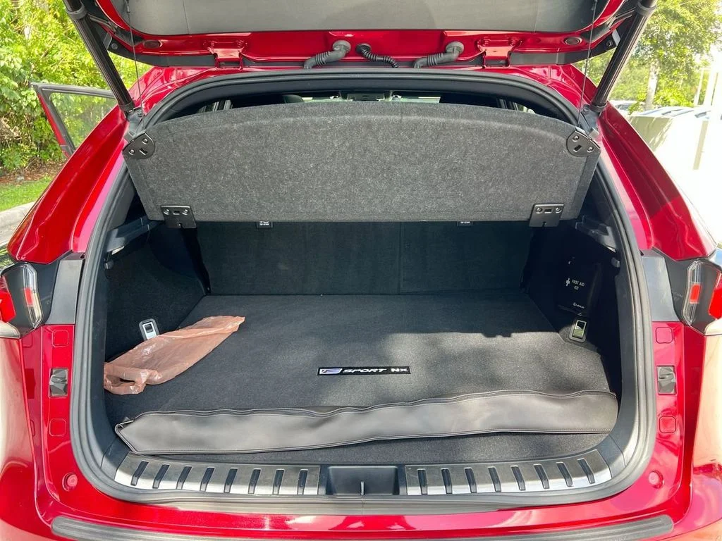 Used 2019 Matador Red Mica Lexus 300 F Sport image 21