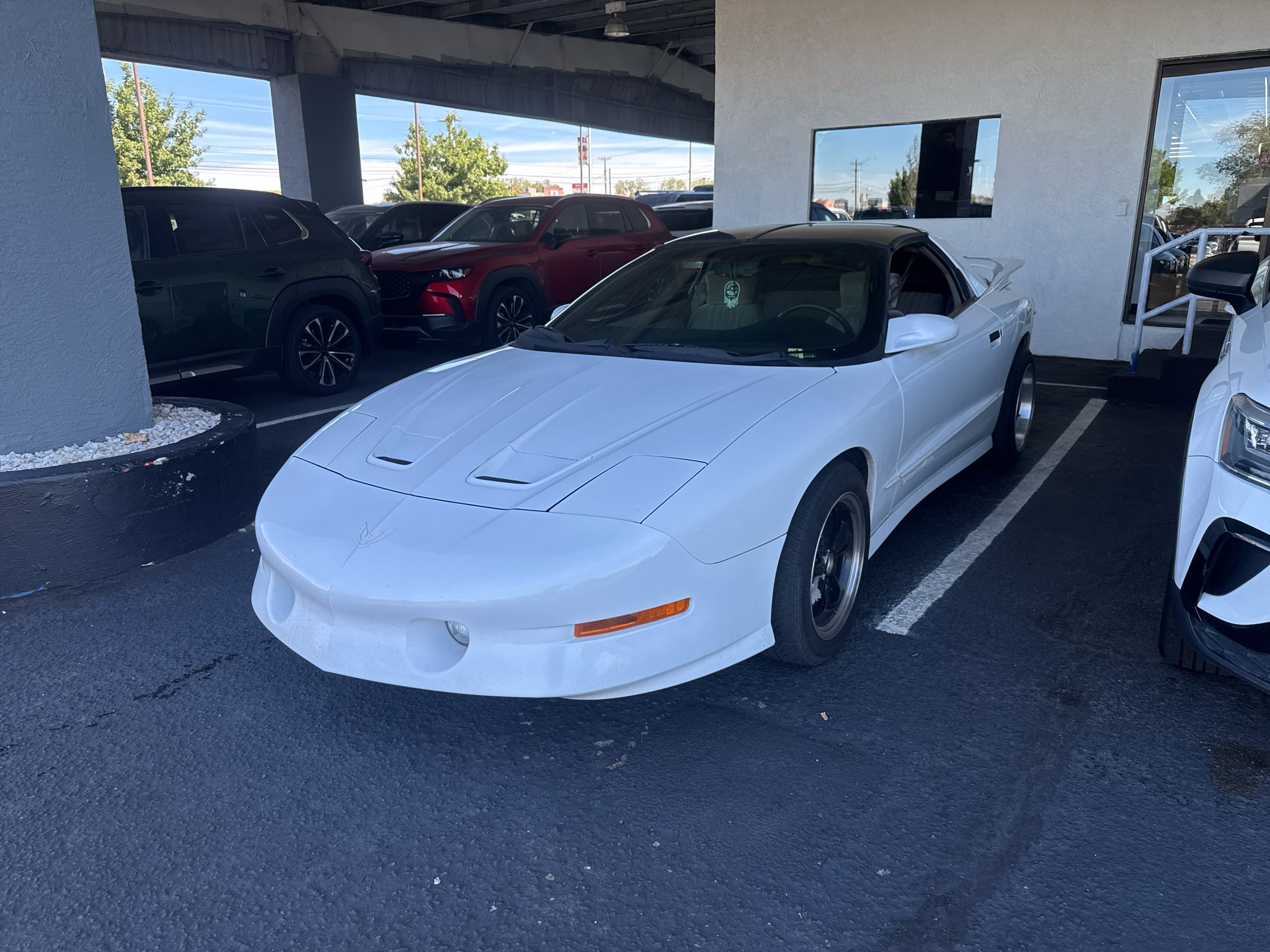 Used 1997  Pontiac Trans Am image 1