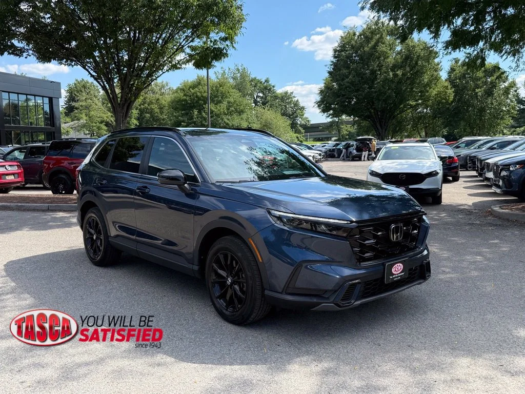 Used 2024 Blue Honda Sport image 1