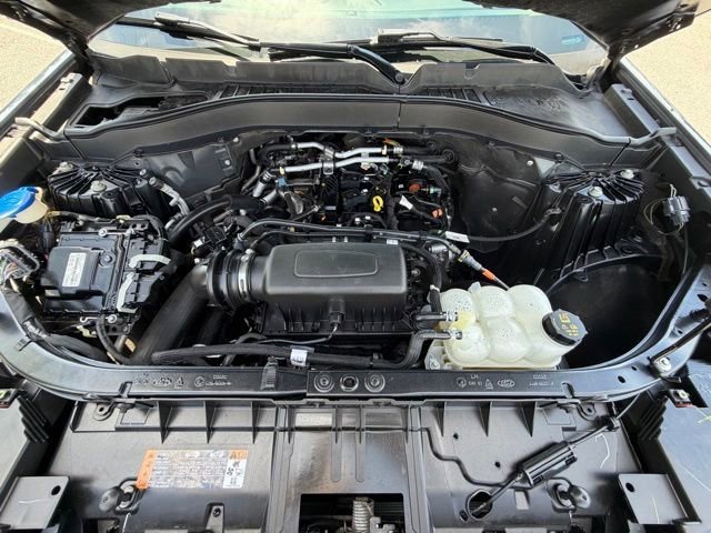 Used 2021 Blue Ford XLT image 19