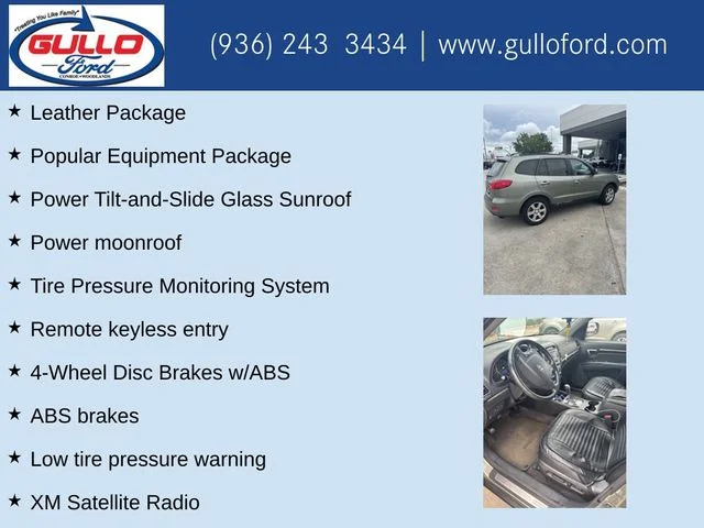 Used 2008 Green Hyundai Limited image 10