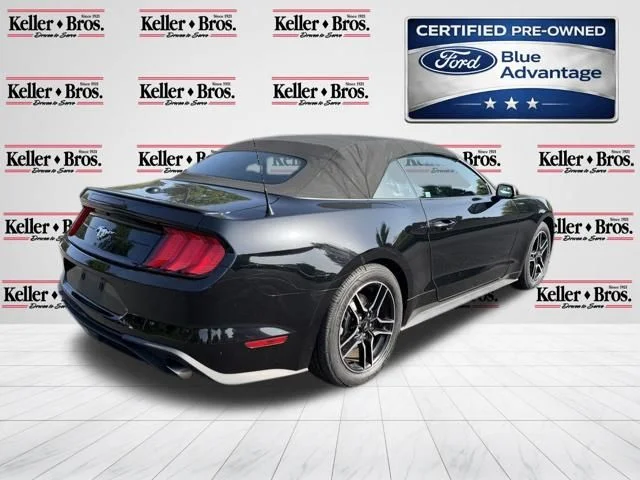 Certified Used 2019 Black Ford EcoBoost Premium image 7