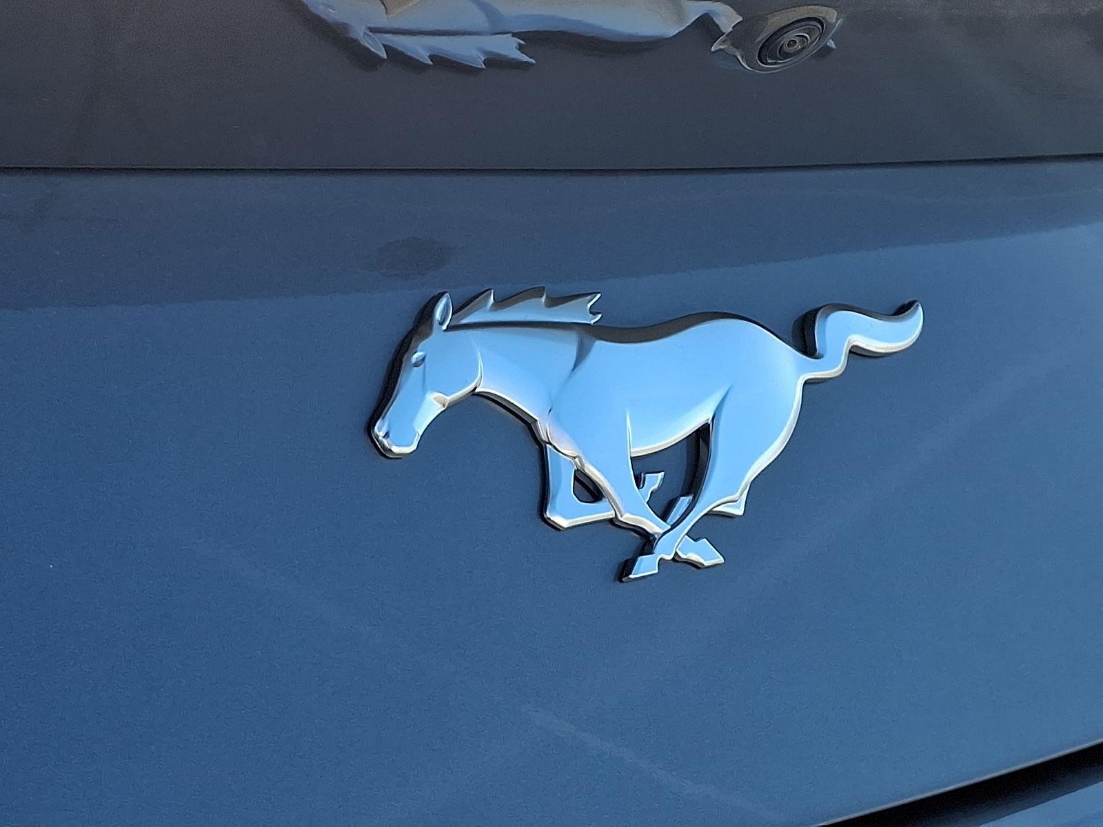 New 2026 Carbonized Gray Metallic Ford EcoBoost® Fastback image 20