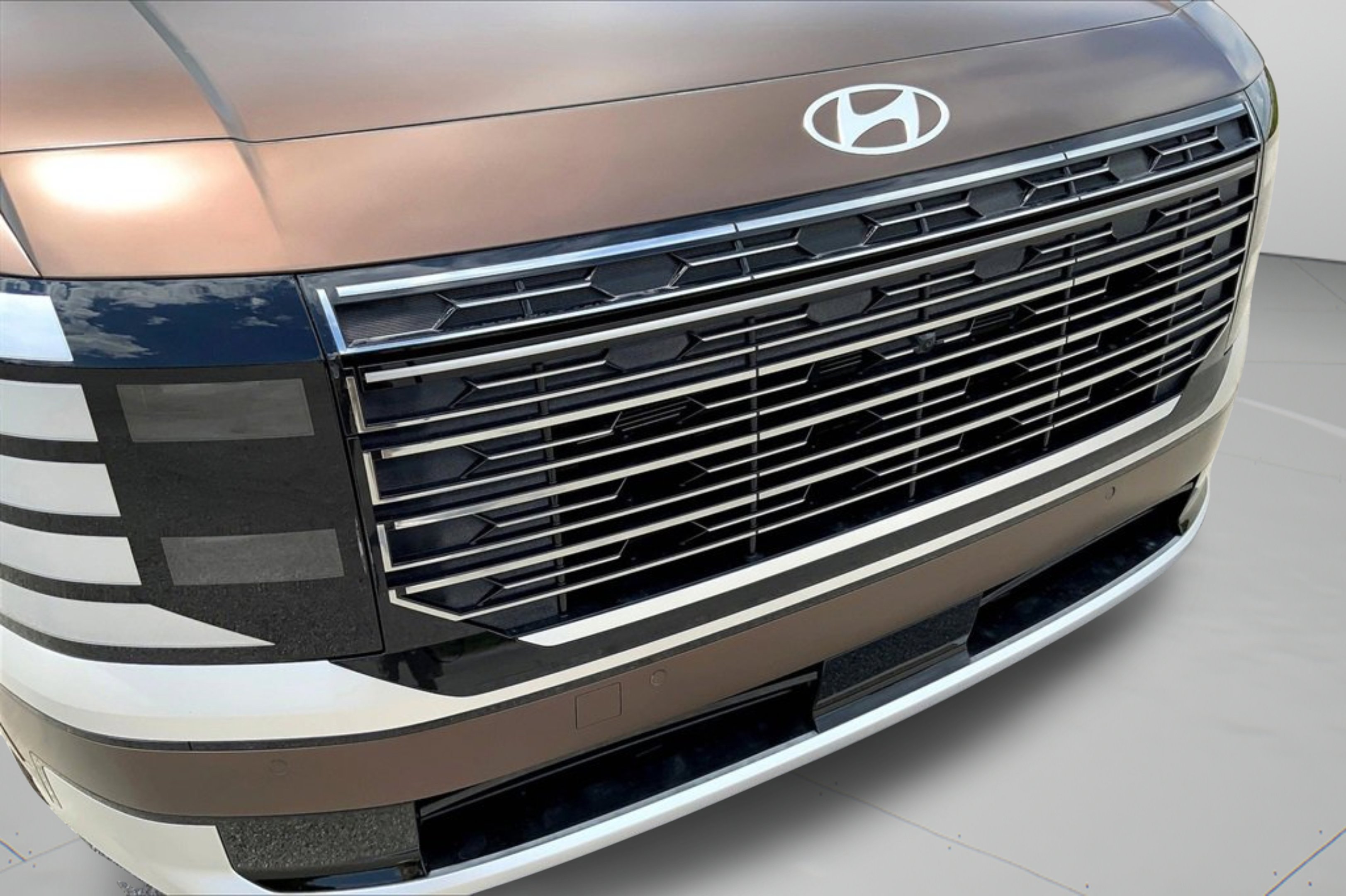 2026 Hyundai Palisade Calligraphy - Photo 20