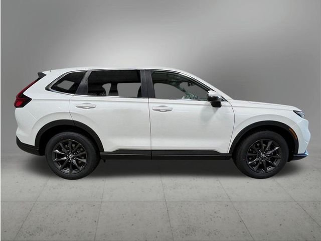 New 2026 Platinum White Pearl Honda EX-L image 7