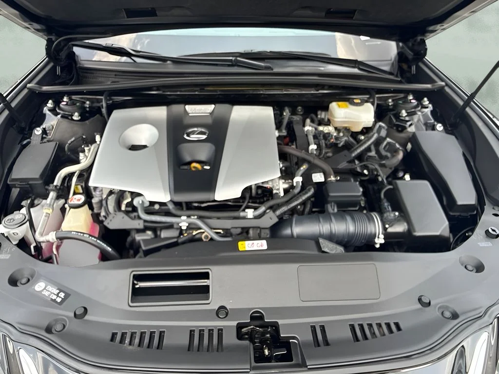 Used 2019 Black Lexus 300h Luxury image 20
