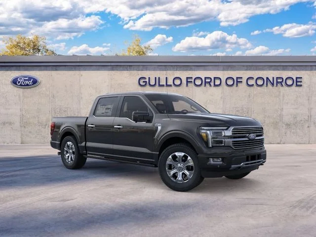 New 2026 Agate Black Metallic Ford Platinum image 11