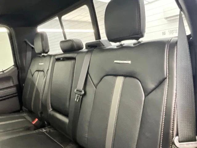 Used 2020 Black Ford Platinum image 8