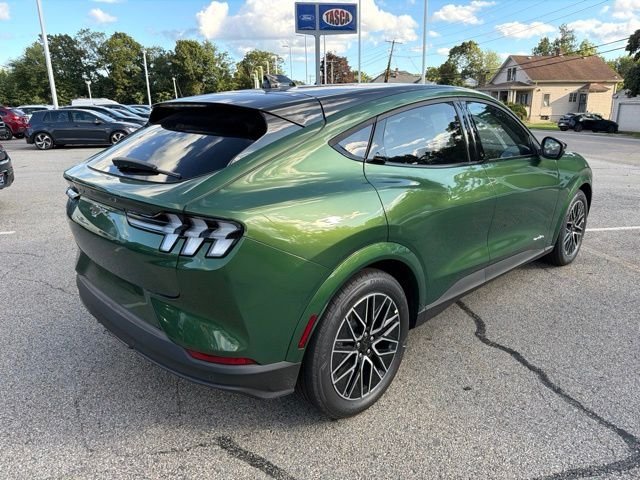 New 2026 Eruption Green Metallic Ford Premium image 3