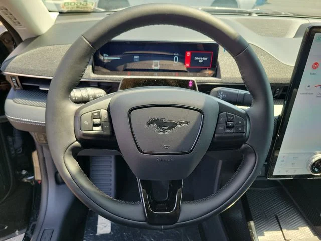 New 2026 Shadow Black Ford Premium image 21