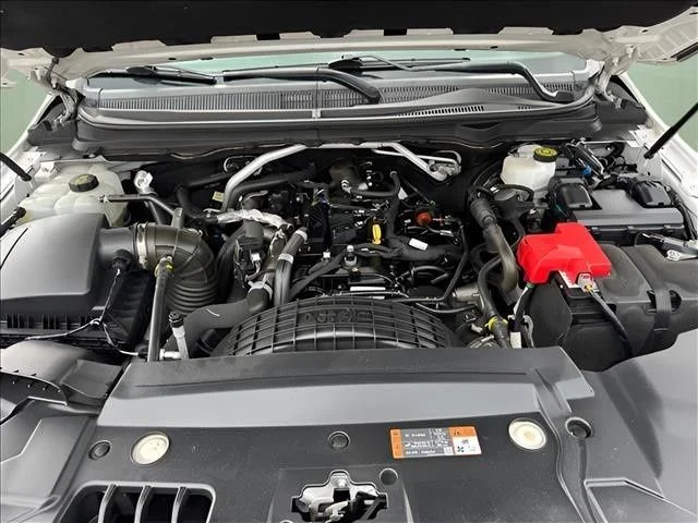 Used 2020 White Ford XL image 14
