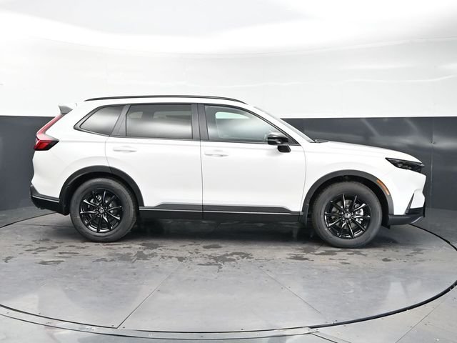 New 2026 Platinum White Pearl Honda Sport image 4