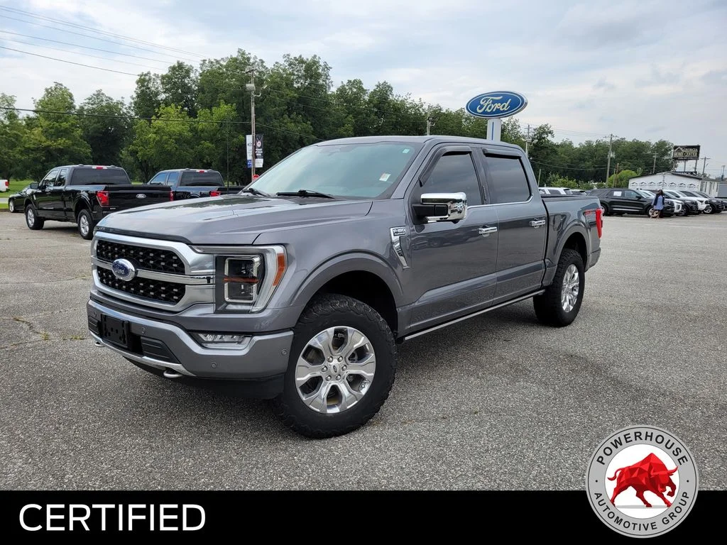 Used 2023 Gray Ford Platinum image 2