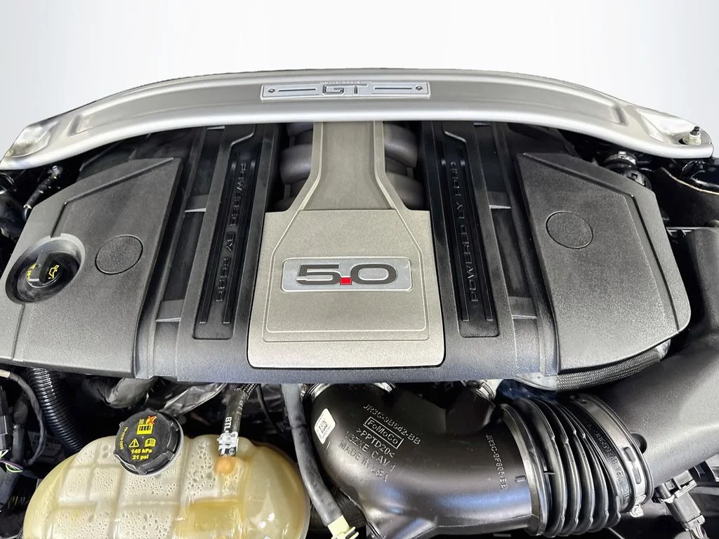 Used 2018 Black Ford GT Premium image 37