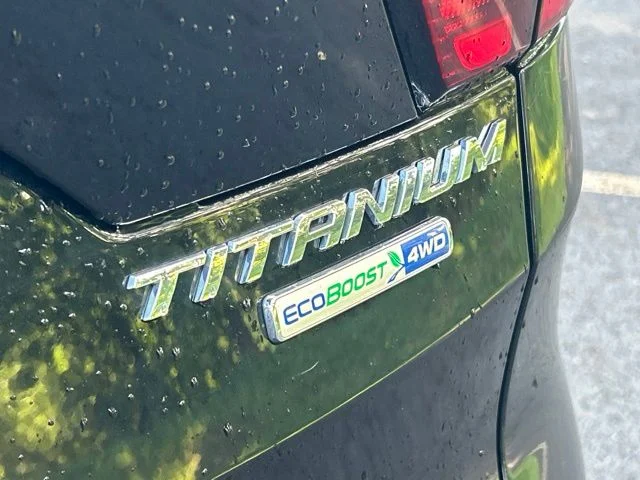 Used 2019 Black Ford Titanium image 19