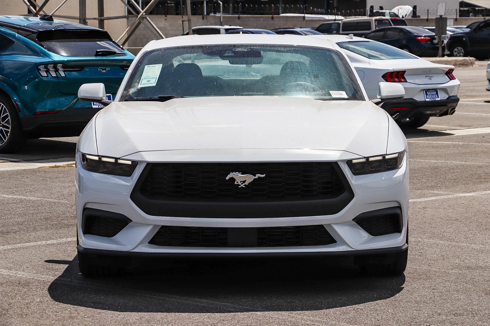 New 2026 Oxford White Ford EcoBoost® Fastback image 2