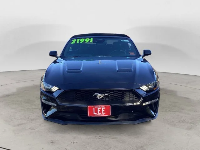 Used 2022 Shadow Black Ford Ecoboost Premium image 8