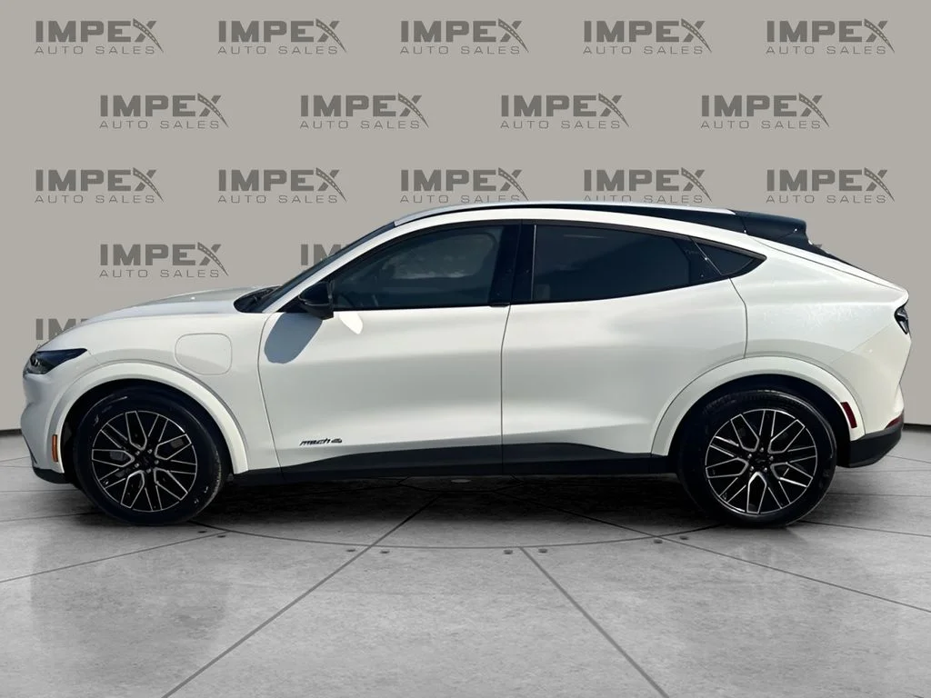 Used 2025 White Ford Premium image 2