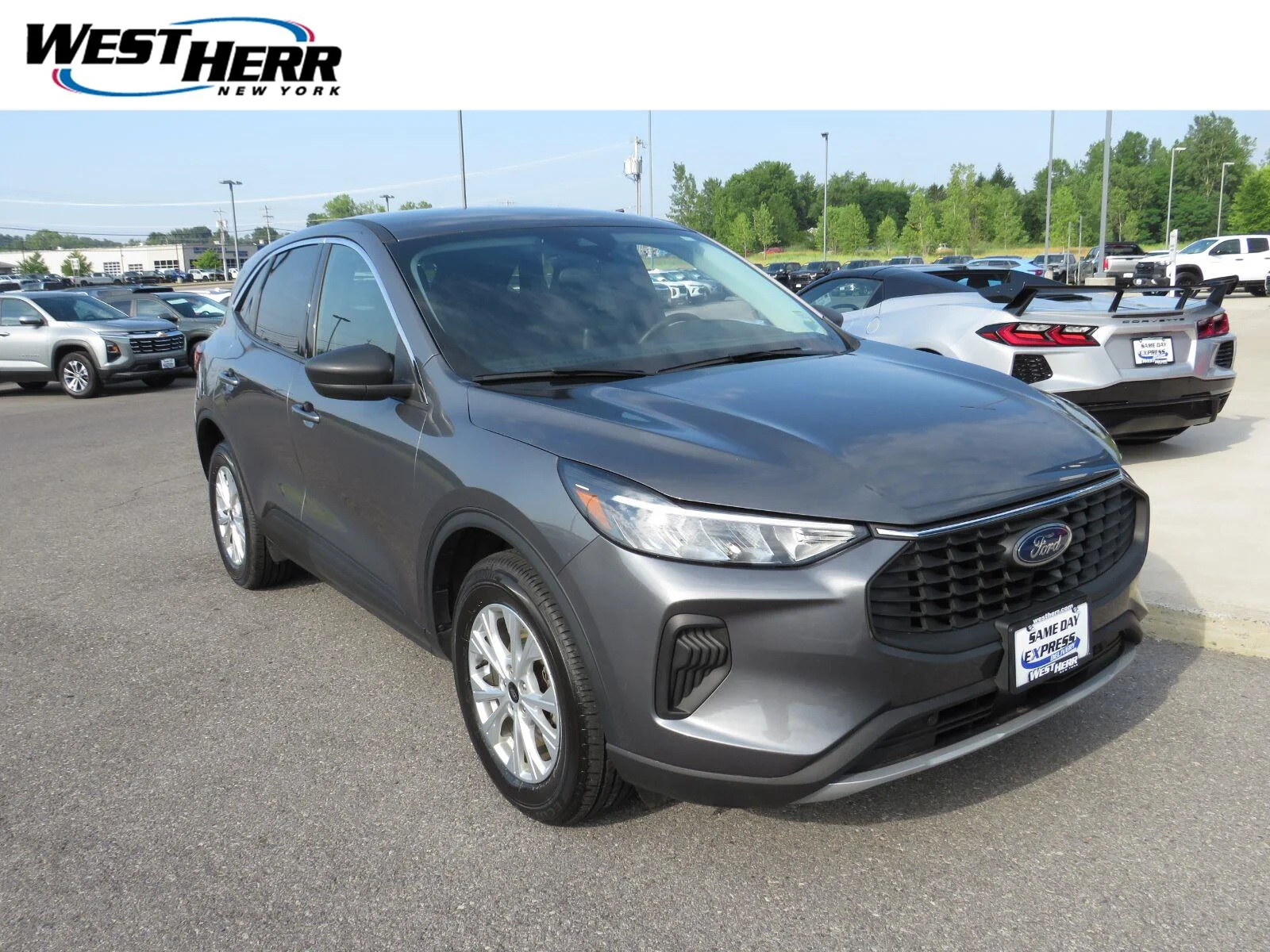 Used 2023  Ford Active image 1