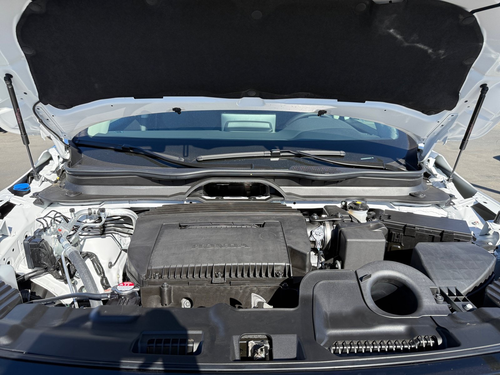 New 2026 Platinum White Pearl Honda RTL image 20