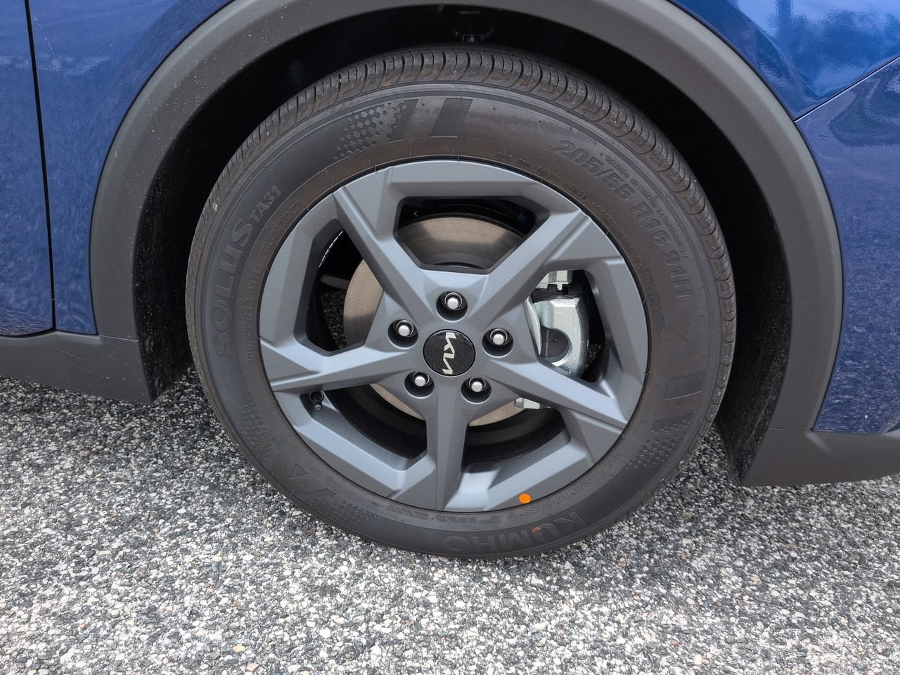 New 2026 Deep Sea Blue Kia LXS image 12