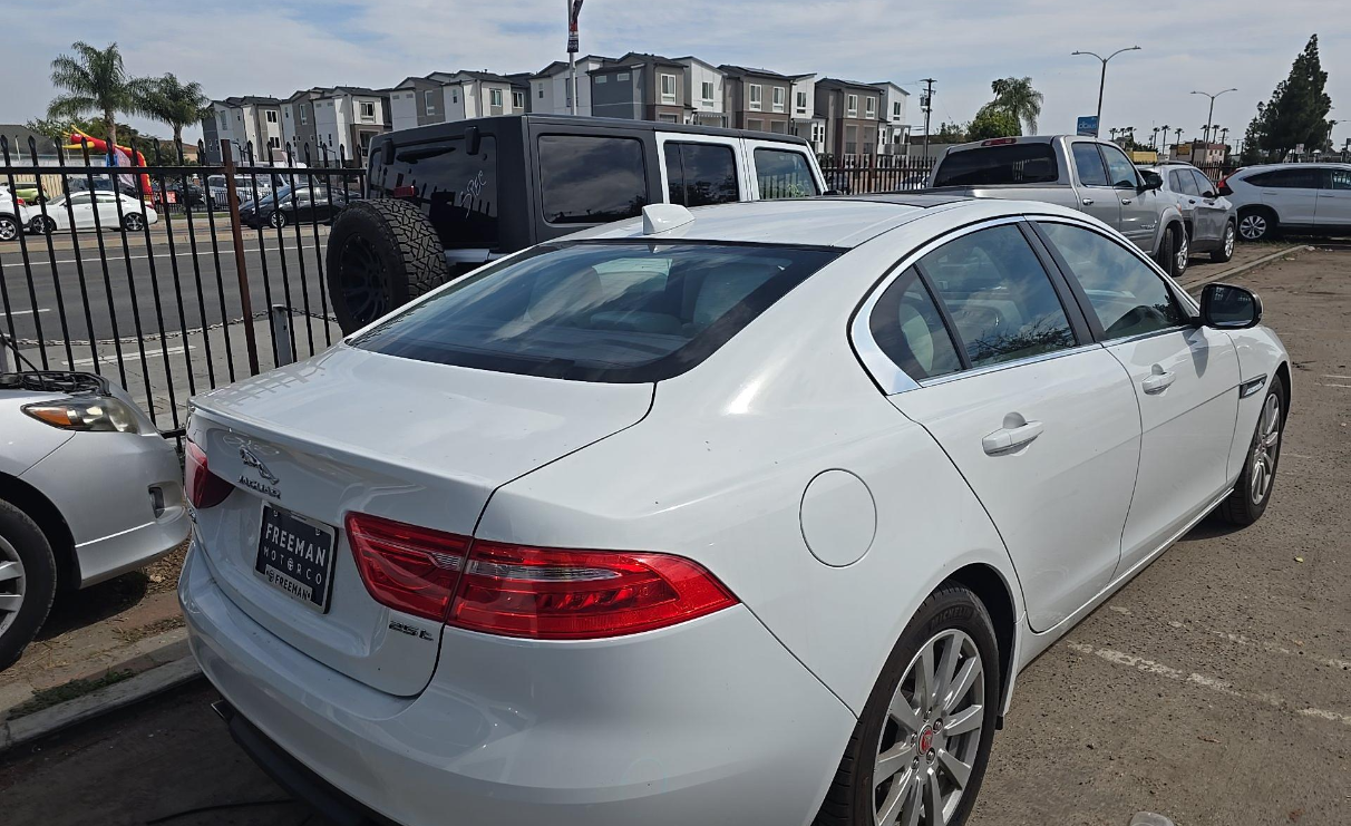 Used 2019 Fuji White Jaguar 25t image 3