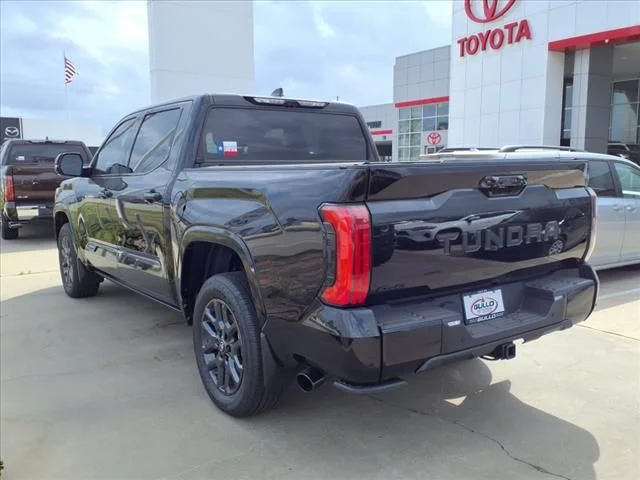 New 2025 Black Toyota Platinum image 2