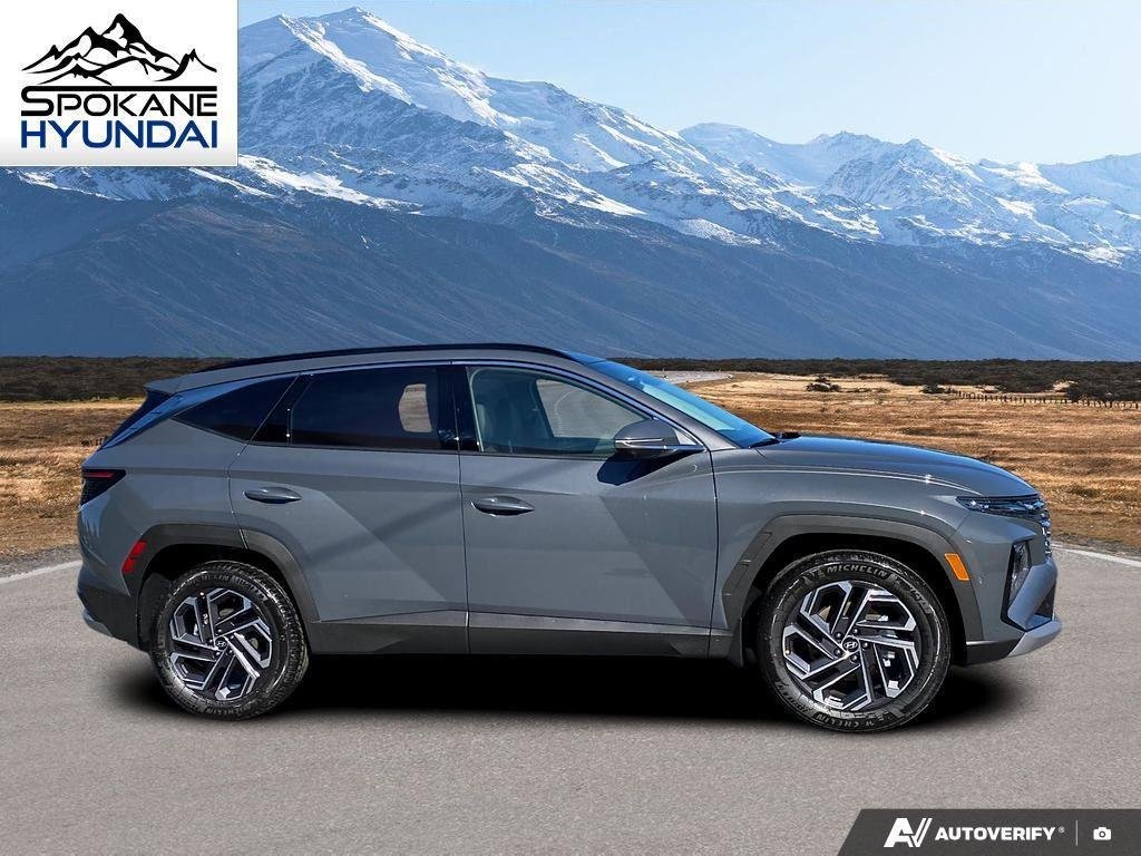 New 2026 Ecotronic Gray Hyundai Limited image 6
