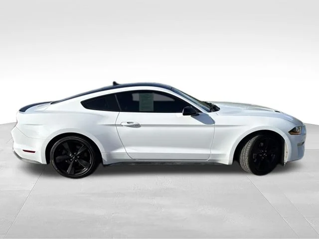Used 2023 White Ford EcoBoost image 8