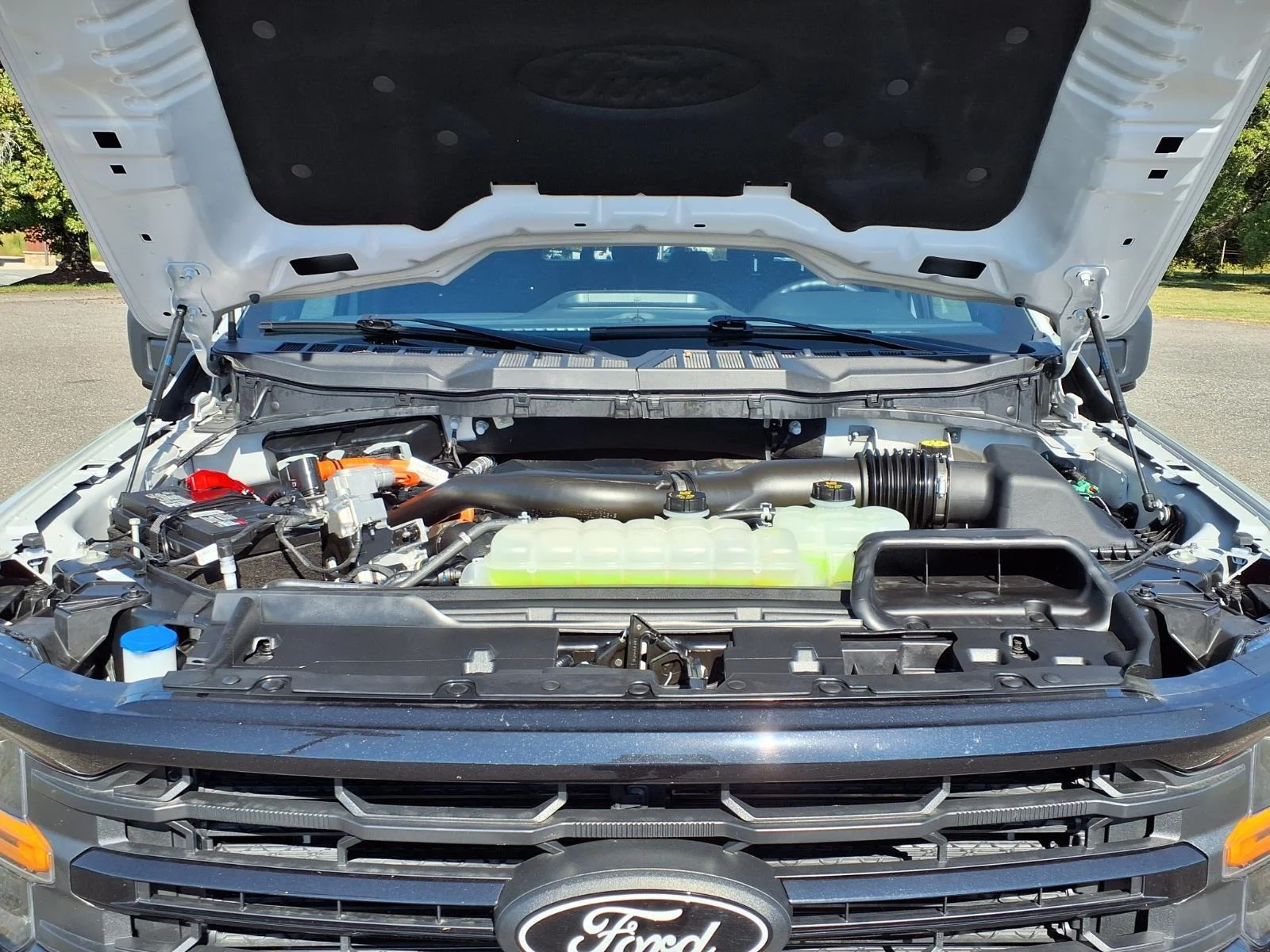 Used 2024 Avalanche Ford XLT image 32